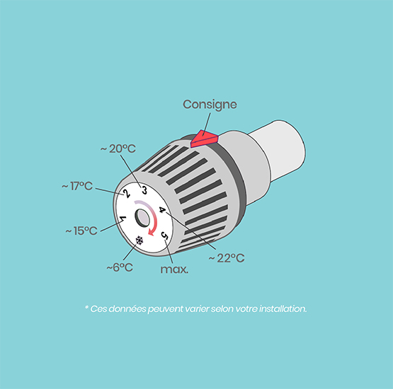 Raccordement radiateur, tête thermostatique et robinet